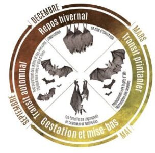 L’hivernation commence…